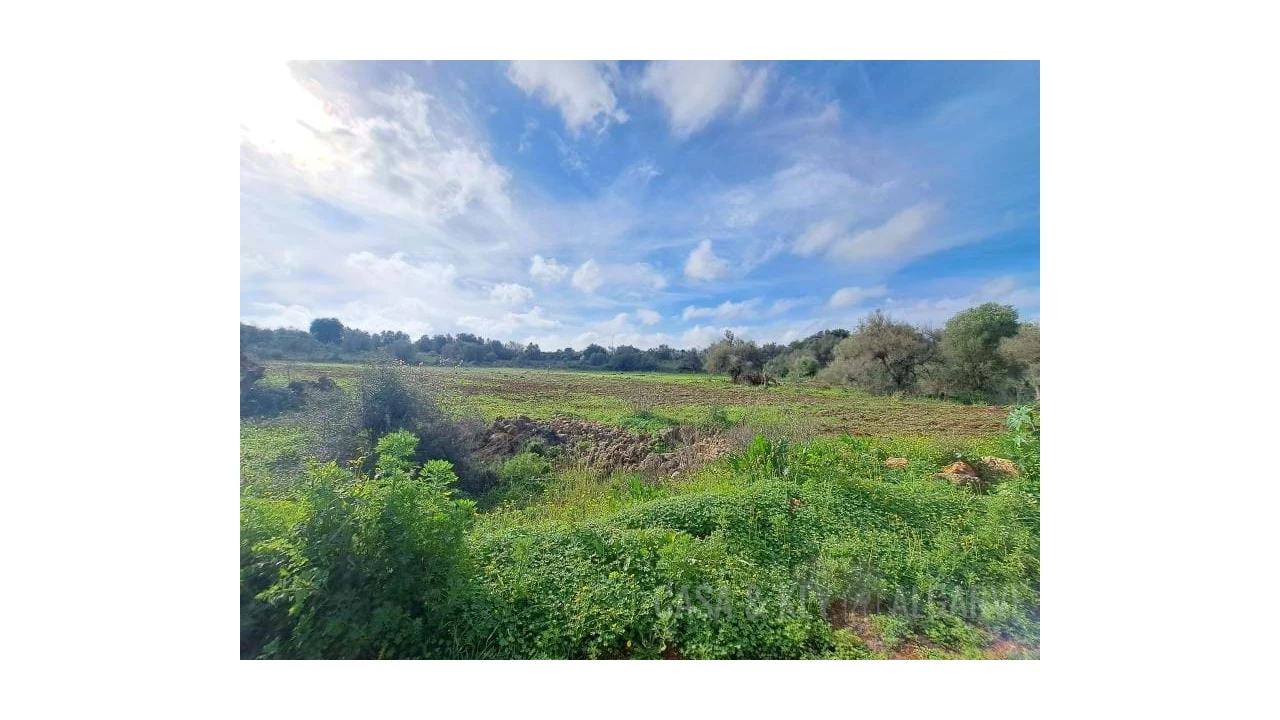 Terreno para Venda em São Bartolomeu de Messines Foto 4