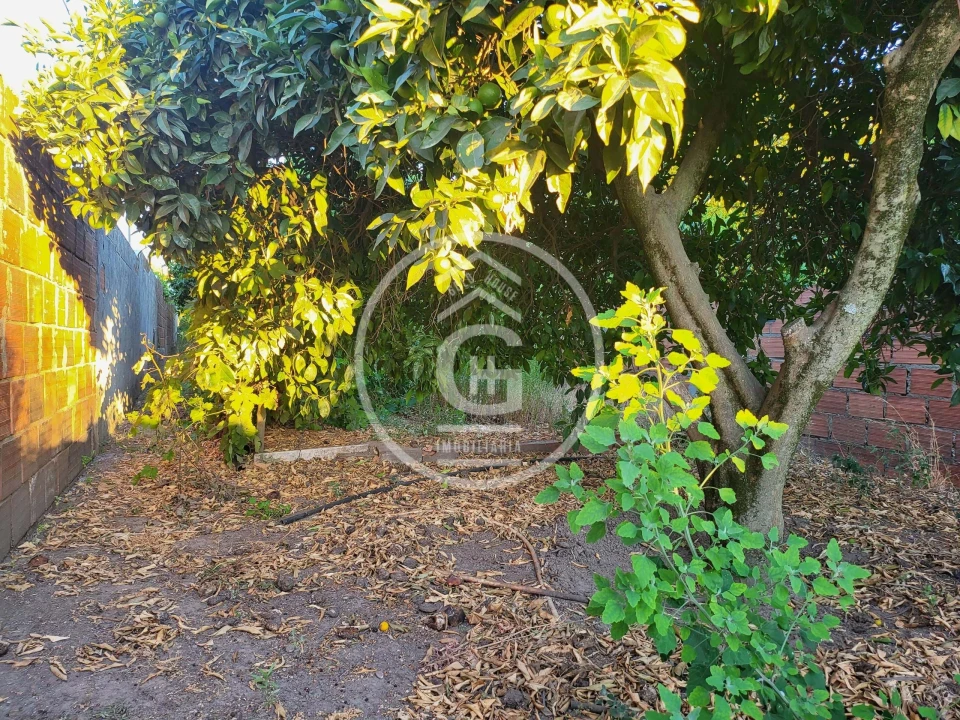 Moradia T4 para Venda em Alpiarça Foto 32