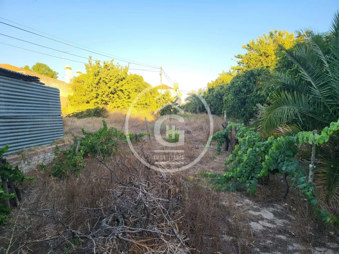 Moradia T4 para Venda em Alpiarça Foto 28