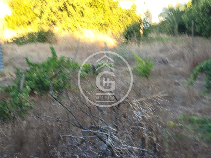 Moradia T4 para Venda em Alpiarça Foto 33