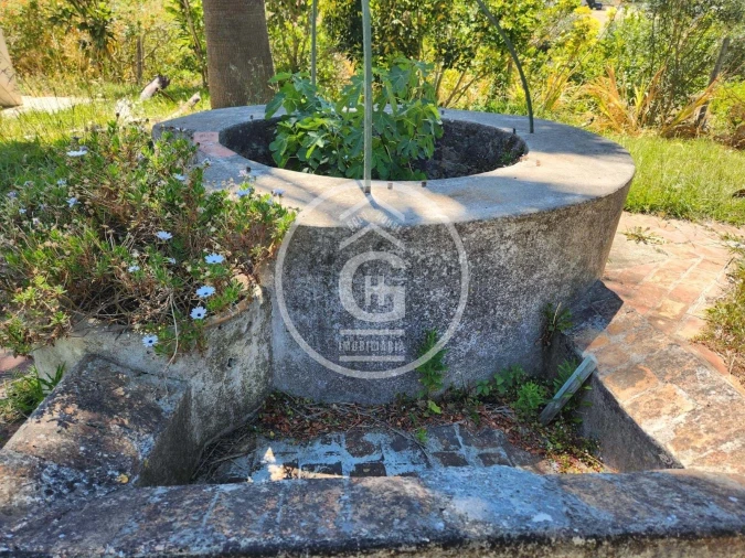 Quinta T3 para Venda em Pontevel Foto 23