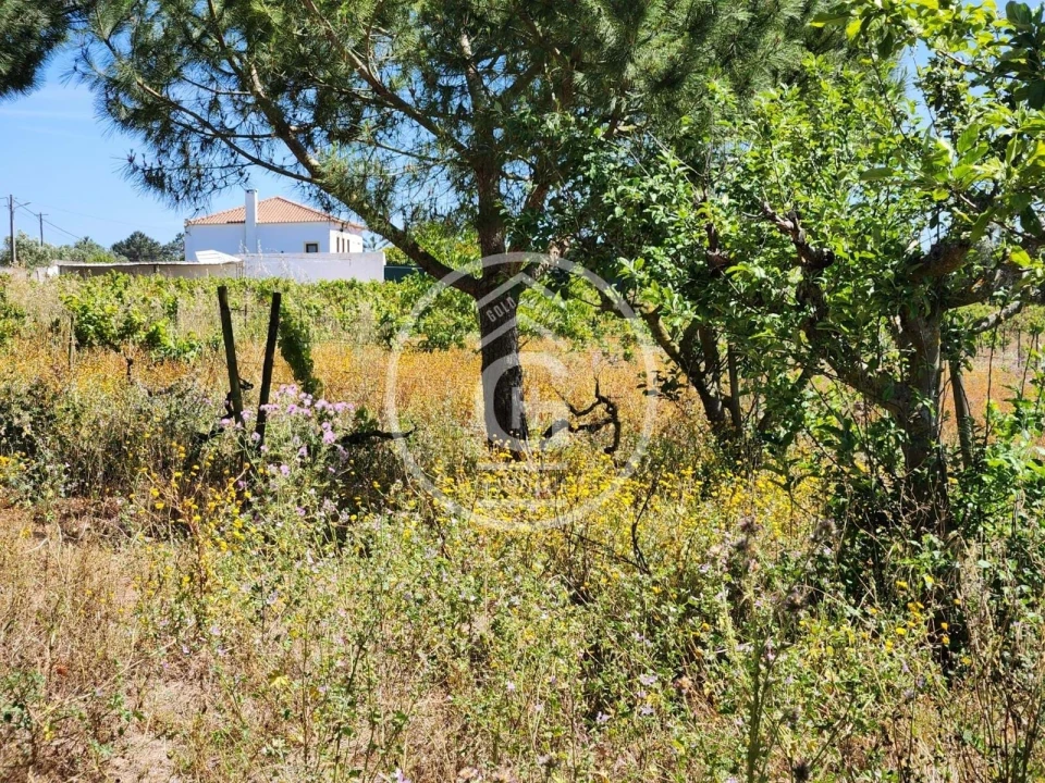 Quinta T3 para Venda em Pontevel Foto 25