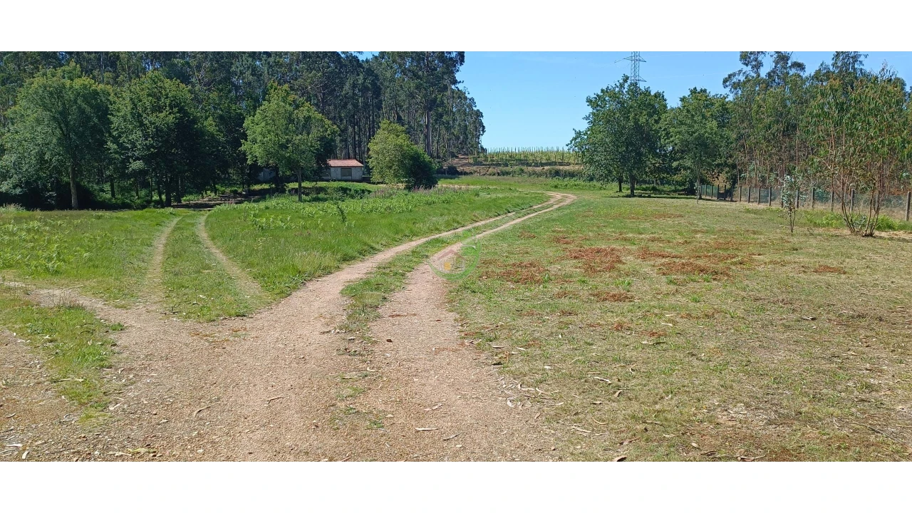 Negócio para Venda em Anais Foto 6