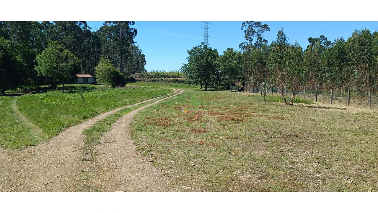 Negócio para Venda em Anais Foto 5