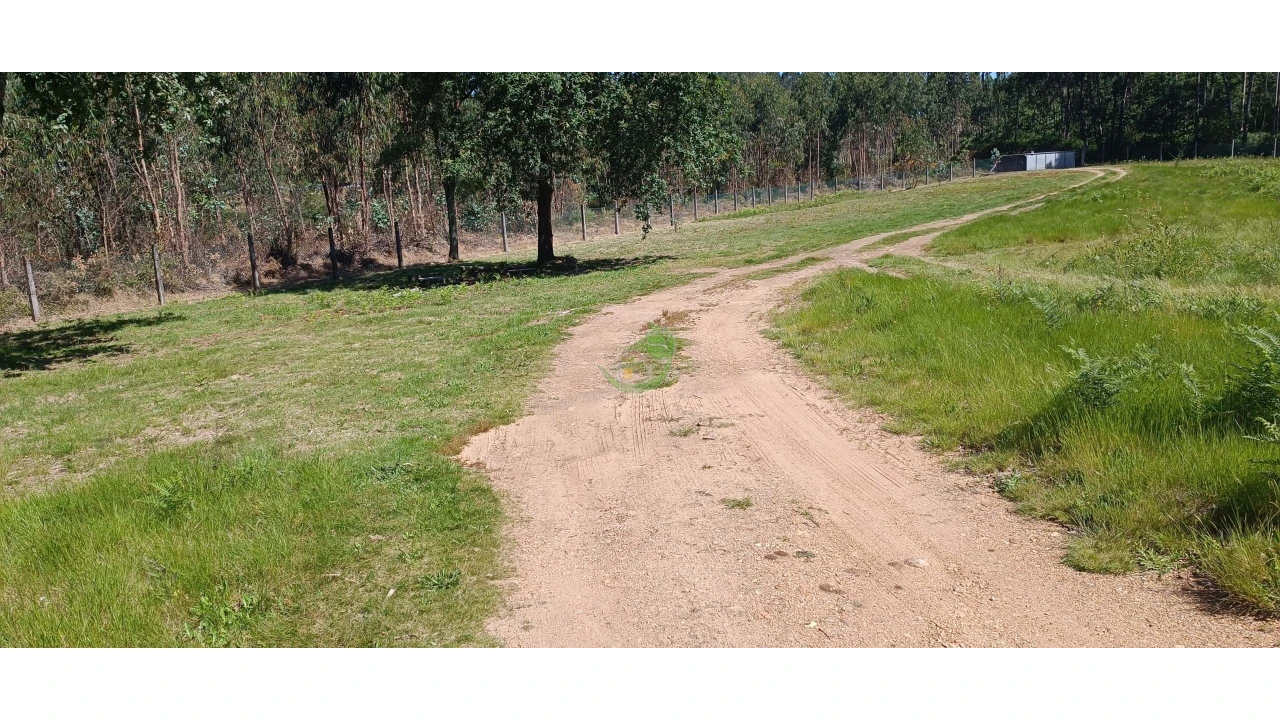 Negócio para Venda em Anais Foto 3