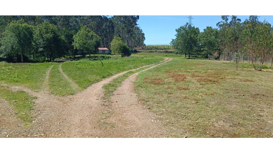 Negócio para Venda em Anais Foto 6