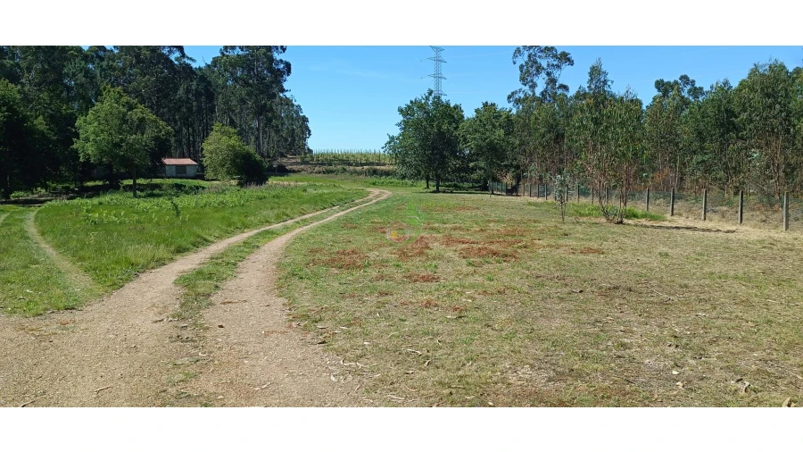 Negócio para Venda em Anais Foto 5