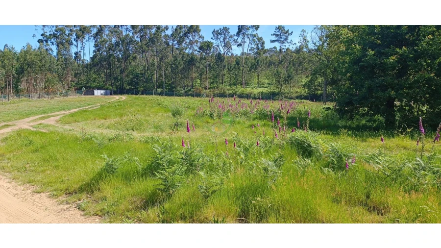 Negócio para Venda em Anais Foto 2