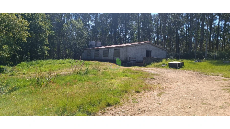 Negócio para Venda em Anais Foto 1