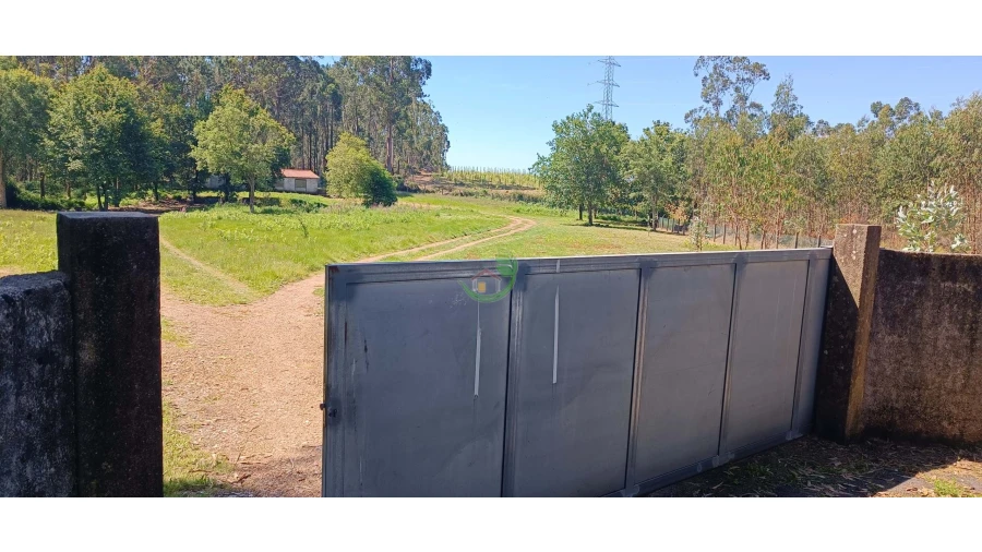 Negócio para Venda em Anais Foto 7