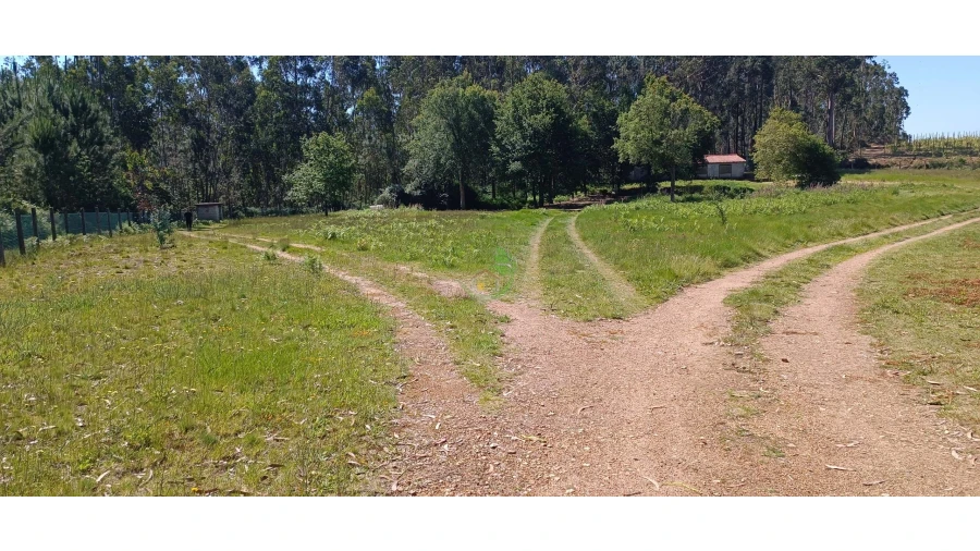 Negócio para Venda em Anais Foto 4