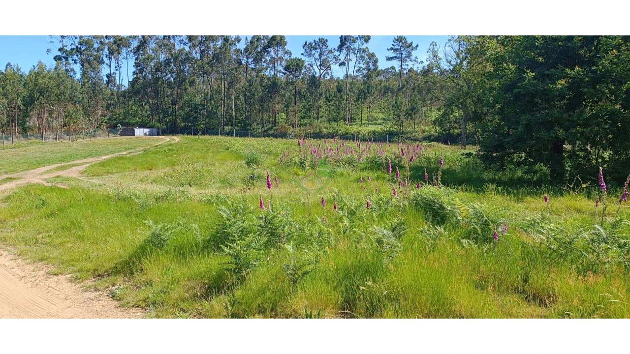 Negócio para Venda em Anais Foto 2