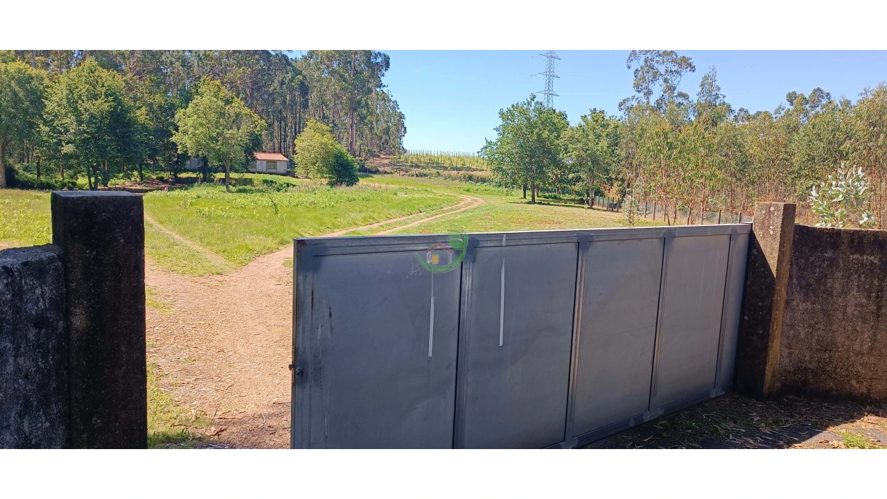 Negócio para Venda em Anais Foto 7