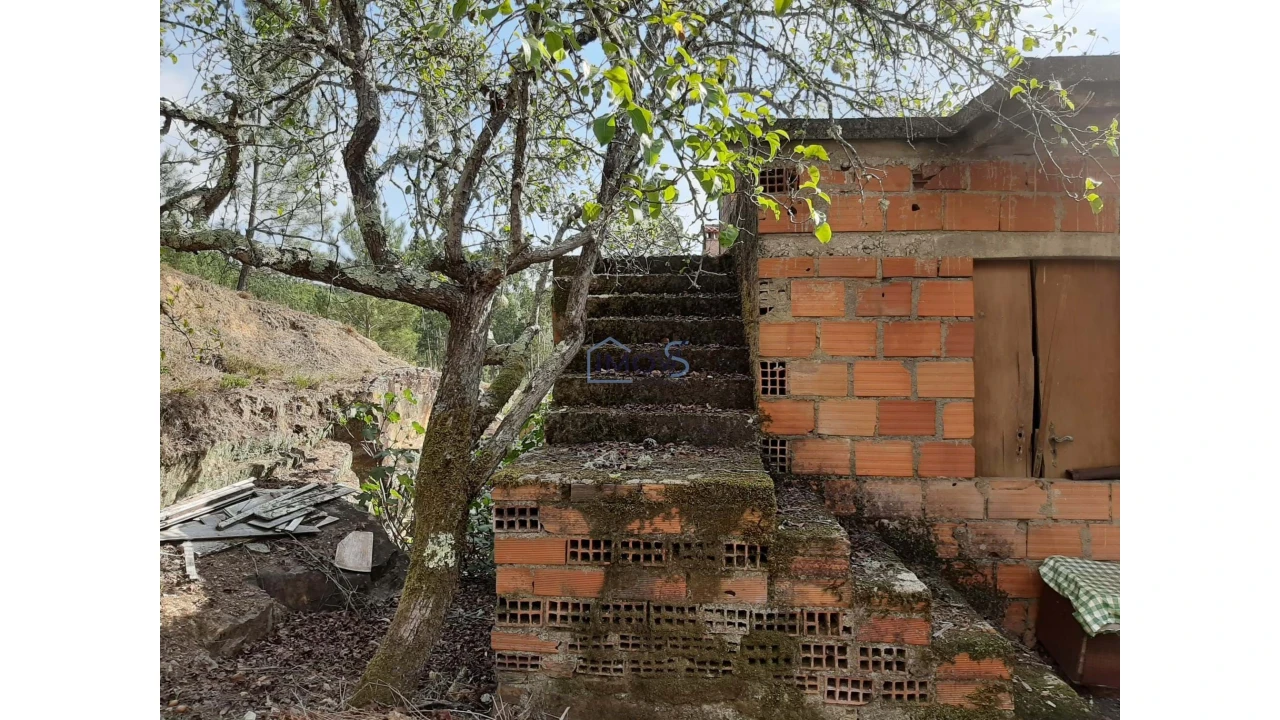 Moradia T2 para Venda em Cernache do Bonjardim, Nesperal e Palhais Foto 15