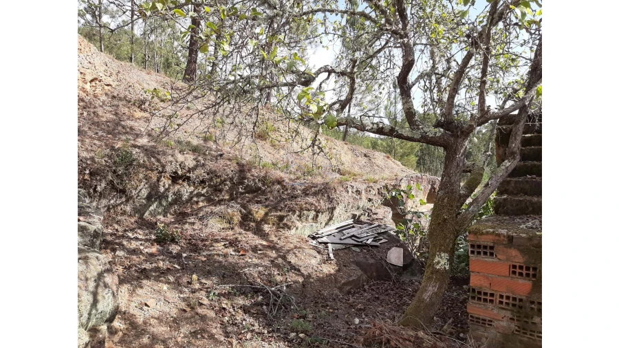 Moradia T2 para Venda em Cernache do Bonjardim, Nesperal e Palhais Foto 21