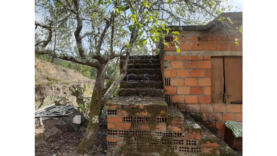 Moradia T2 para Venda em Cernache do Bonjardim, Nesperal e Palhais Foto 15