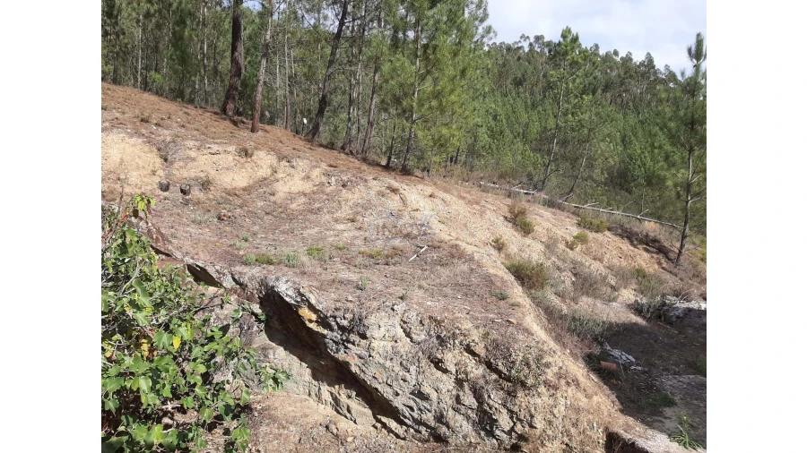 Moradia T2 para Venda em Cernache do Bonjardim, Nesperal e Palhais Foto 19