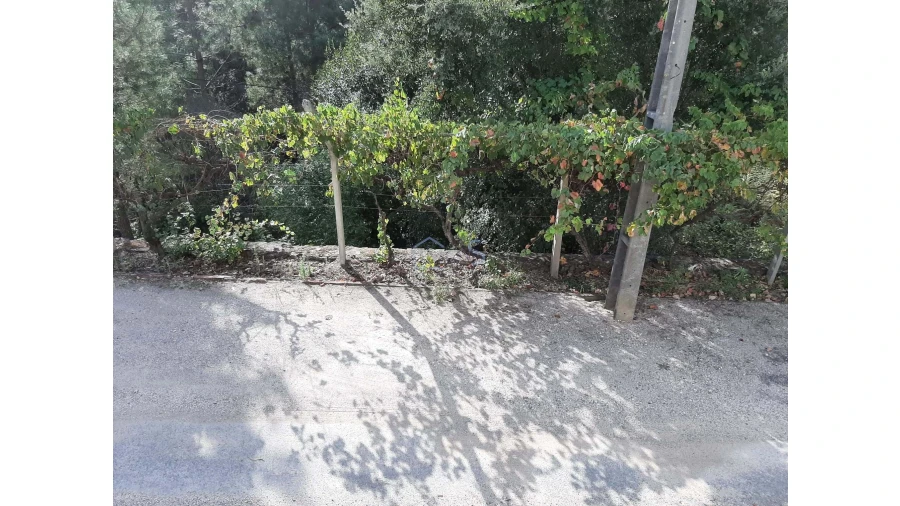 Moradia T2 para Venda em Cernache do Bonjardim, Nesperal e Palhais Foto 24