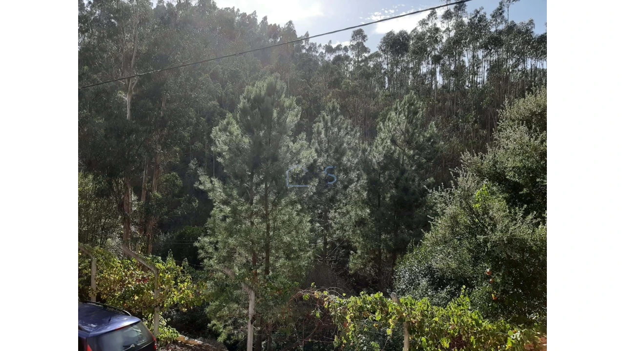 Moradia T2 para Venda em Cernache do Bonjardim, Nesperal e Palhais Foto 22