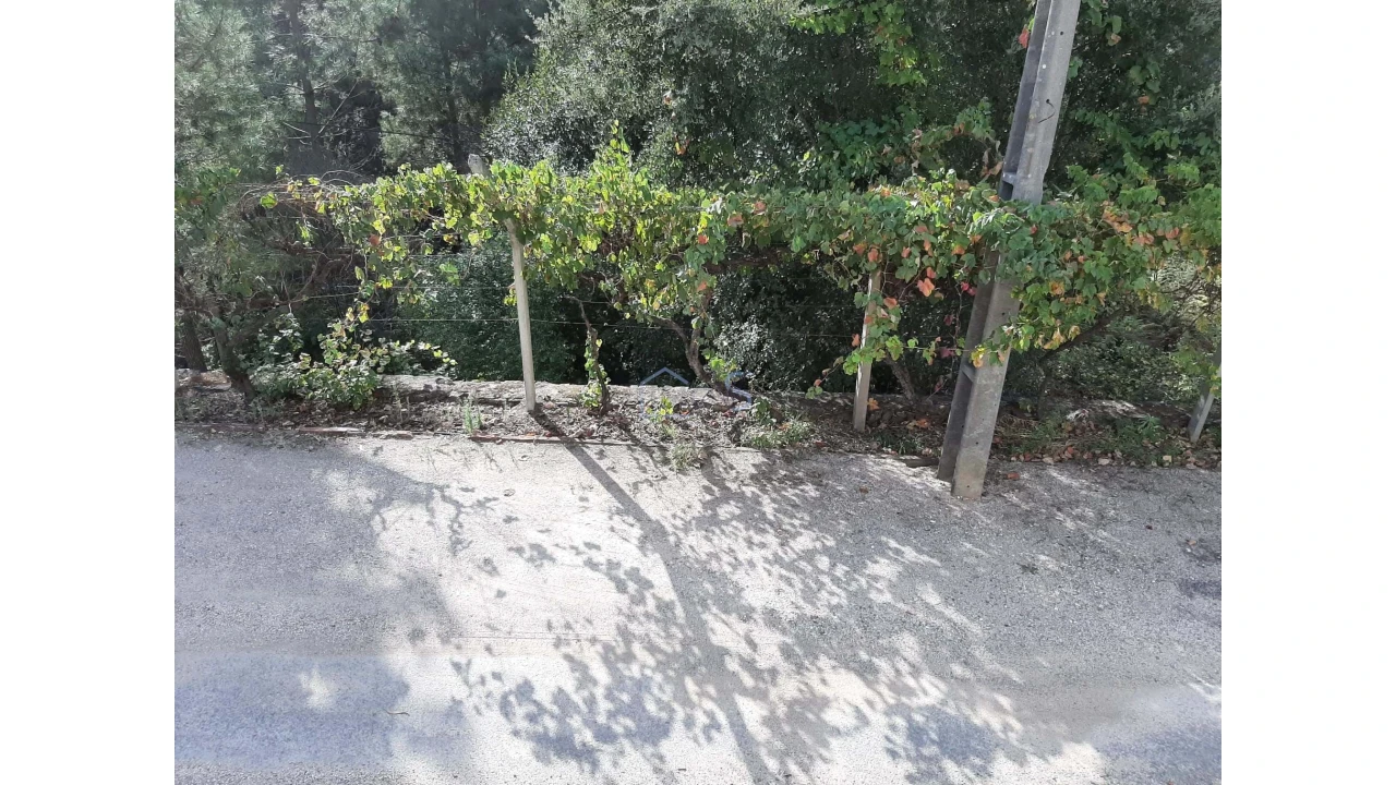 Moradia T2 para Venda em Cernache do Bonjardim, Nesperal e Palhais Foto 24