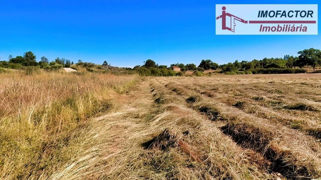 Quinta para Venda em São Miguel de Acha Foto 24