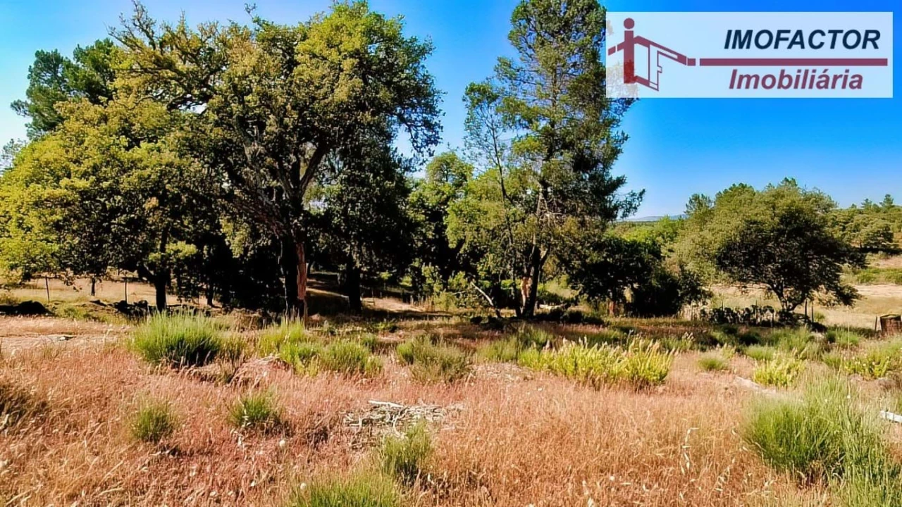 Quinta para Venda em São Miguel de Acha Foto 23