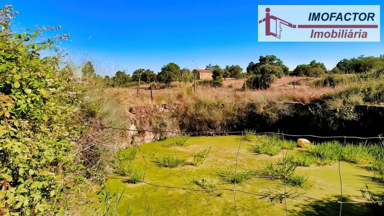 Quinta para Venda em São Miguel de Acha Foto 20