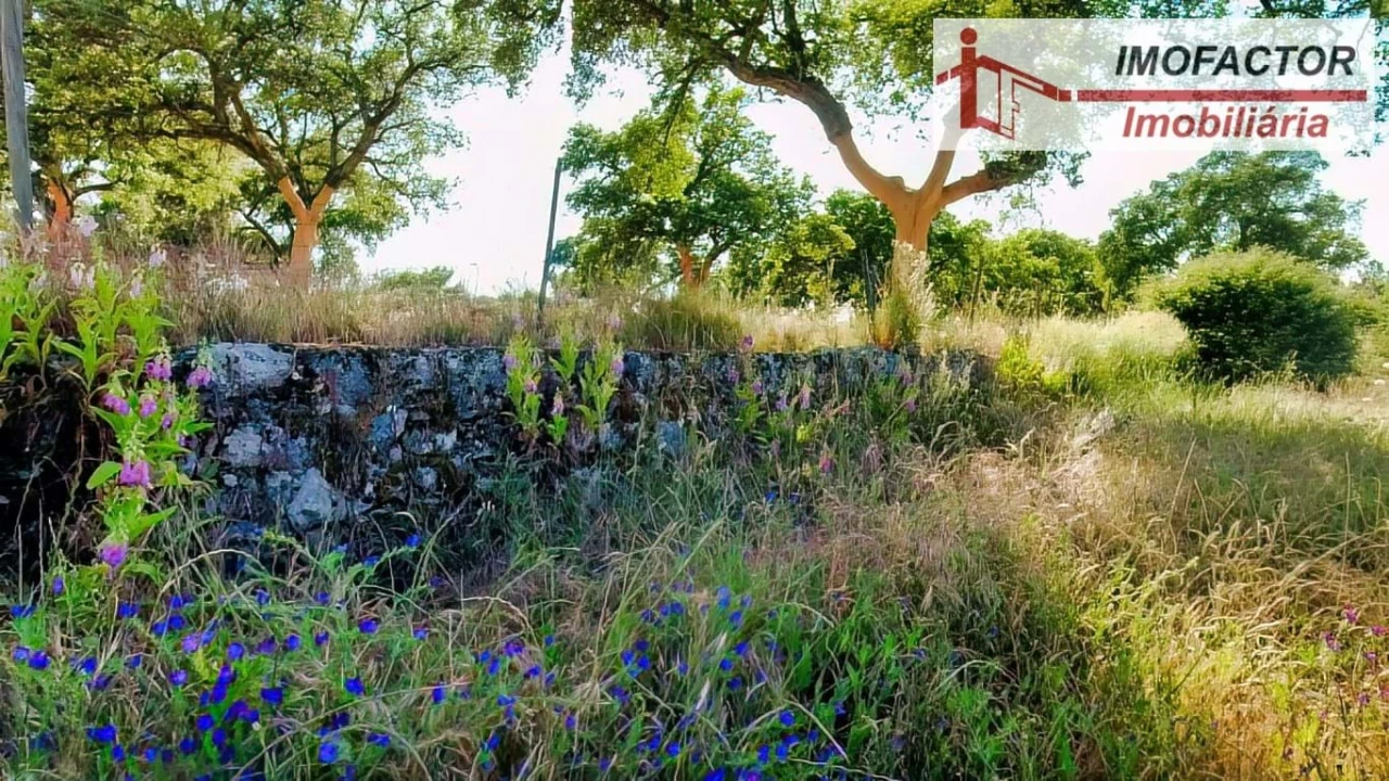 Quinta para Venda em São Miguel de Acha Foto 25