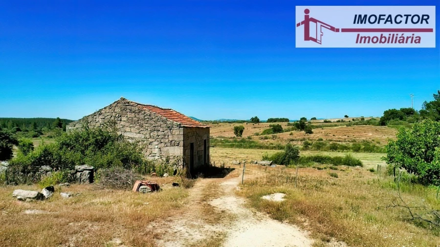 Quinta para Venda em São Miguel de Acha Foto 2