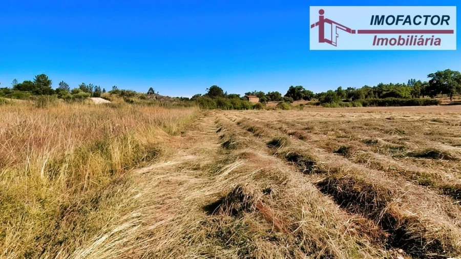 Quinta para Venda em São Miguel de Acha Foto 24