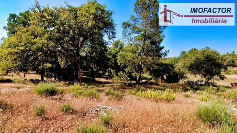 Quinta para Venda em São Miguel de Acha Foto 23