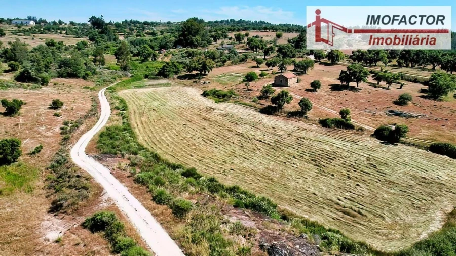 Quinta para Venda em São Miguel de Acha Foto 11