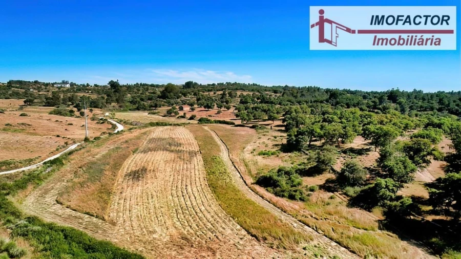 Quinta para Venda em São Miguel de Acha Foto 21