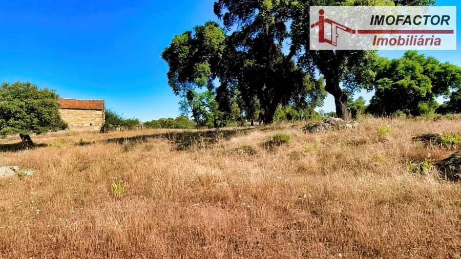 Quinta para Venda em São Miguel de Acha Foto 7