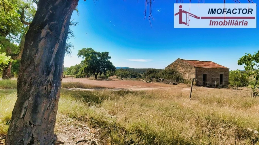 Quinta para Venda em São Miguel de Acha Foto 5