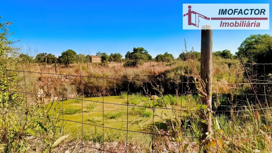 Quinta para Venda em São Miguel de Acha Foto 16