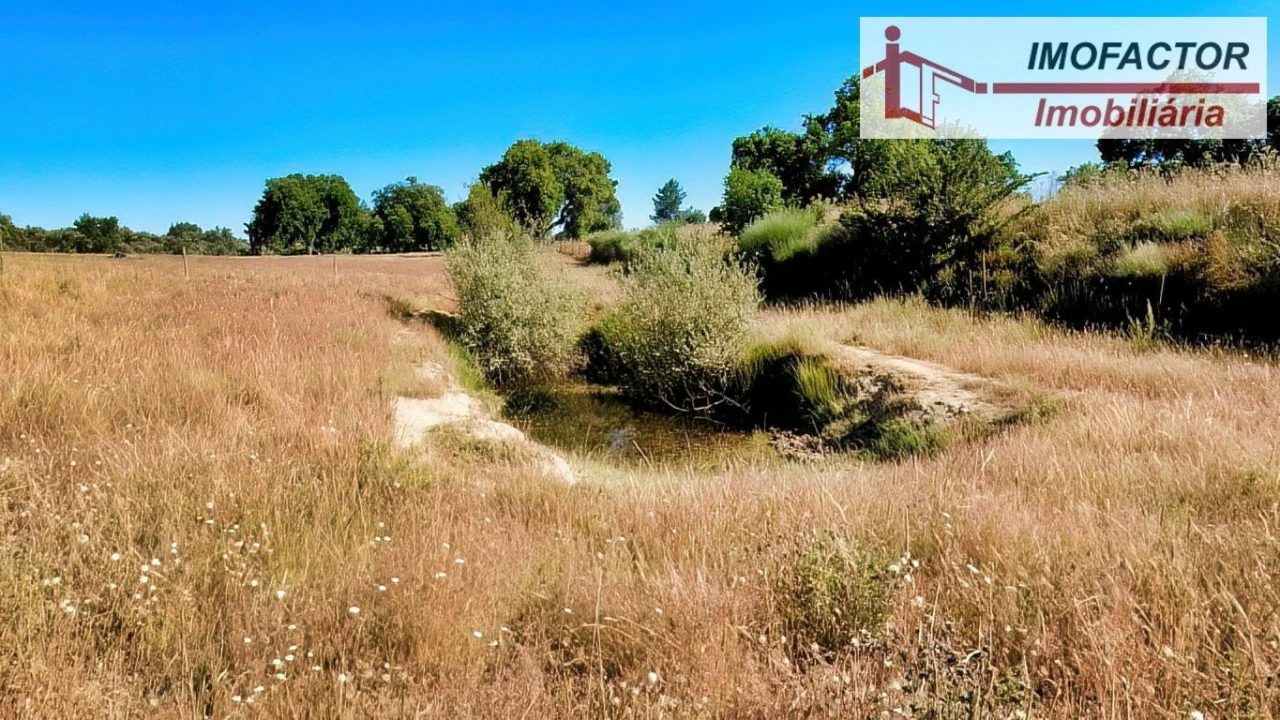 Quinta para Venda em São Miguel de Acha Foto 18