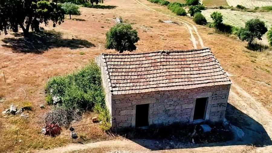 Quinta para Venda em São Miguel de Acha