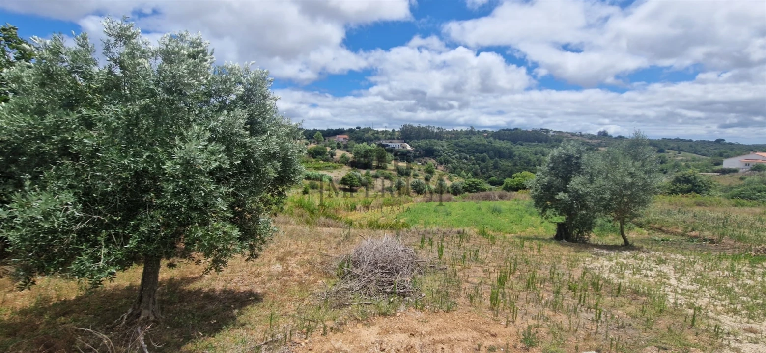 Terreno para Venda em Meca Foto 3