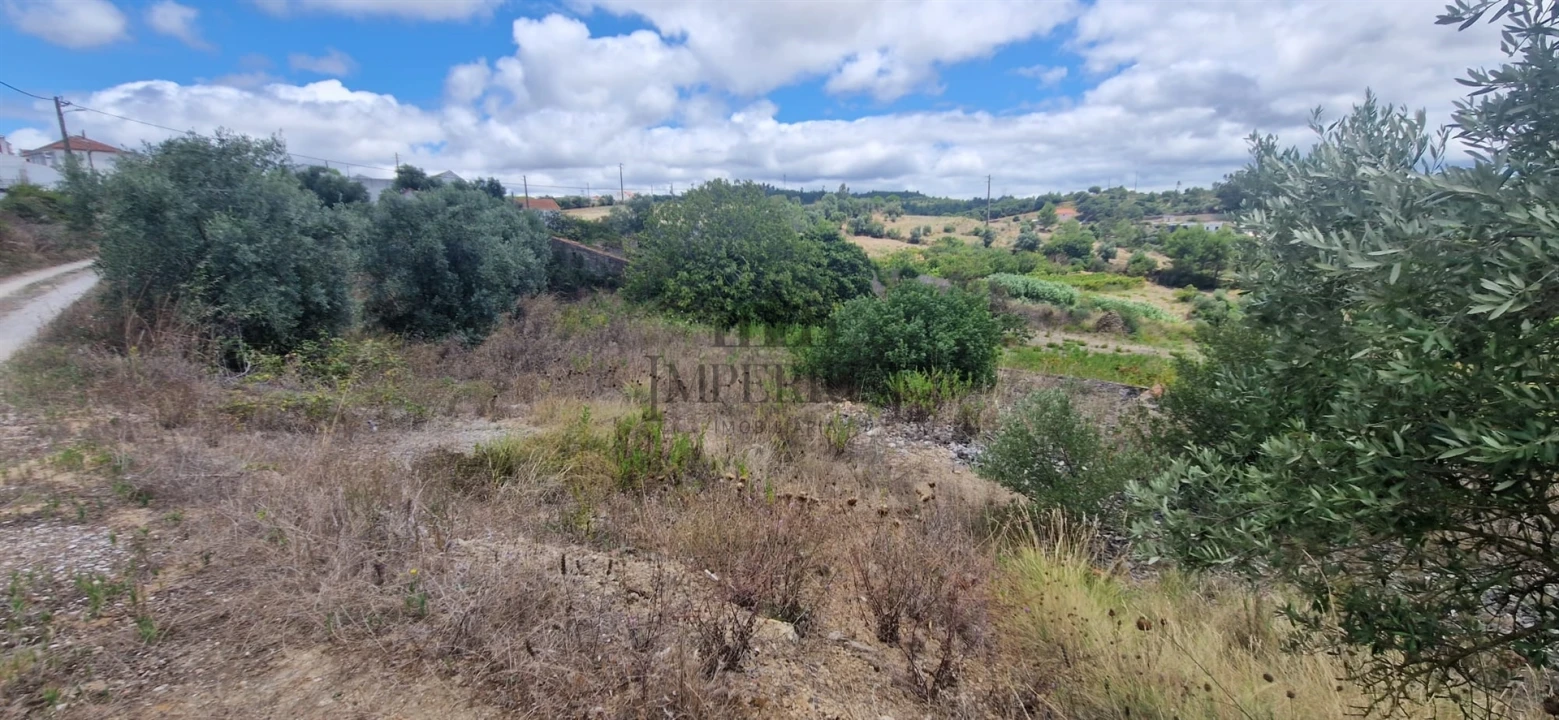 Terreno para Venda em Meca Foto 5