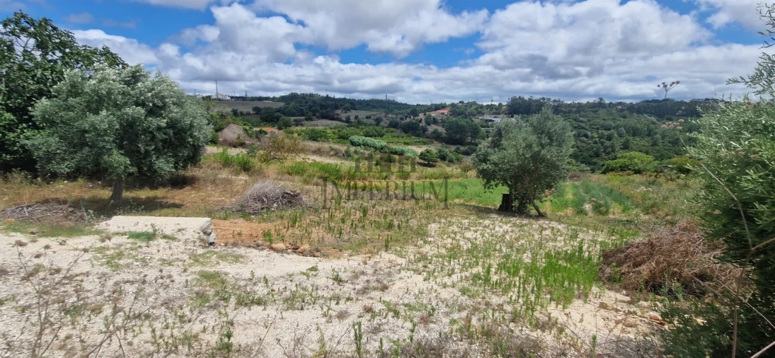 Terreno para Venda em Meca Foto 4