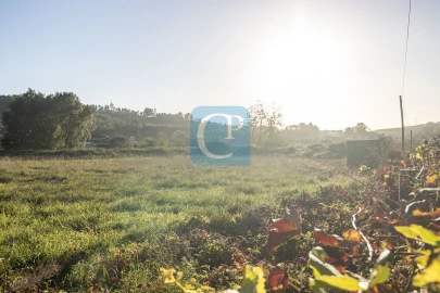Terreno para Venda em Reguenga