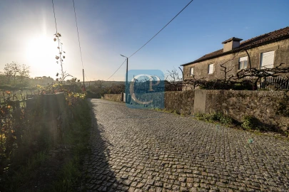 Terreno para Venda em Reguenga