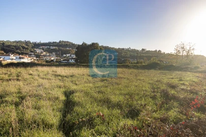 Terreno para Venda em Reguenga