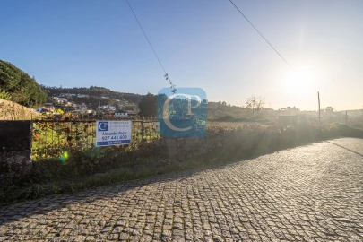Terreno para Venda em Reguenga