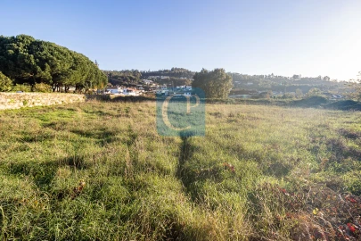 Terreno para Venda em Reguenga