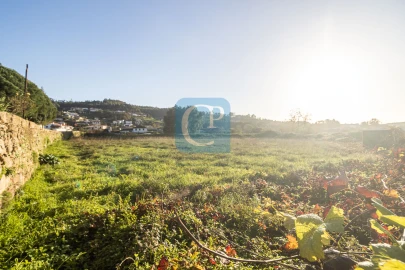 Terreno para Venda em Reguenga