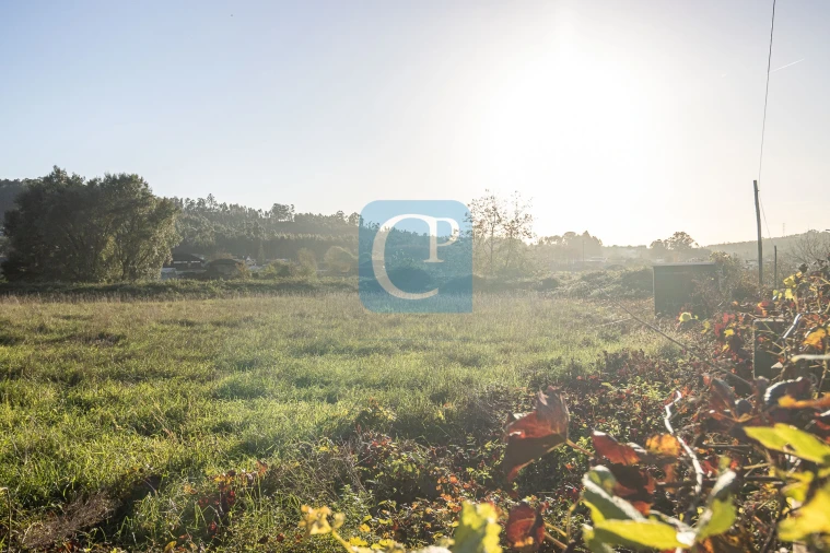 Terreno para Venda em Reguenga Foto 6