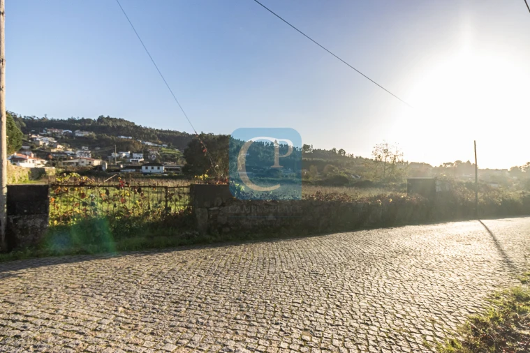Terreno para Venda em Reguenga Foto 7