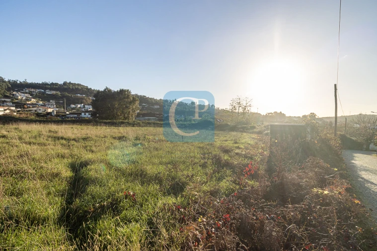 Terreno para Venda em Reguenga Foto 4